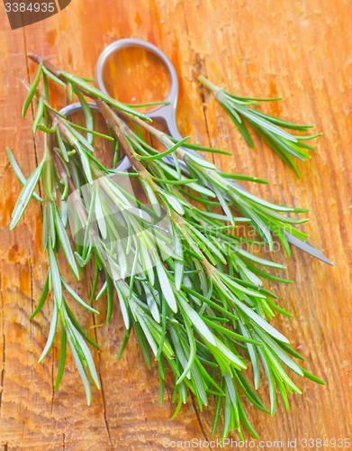 Image of rosemary