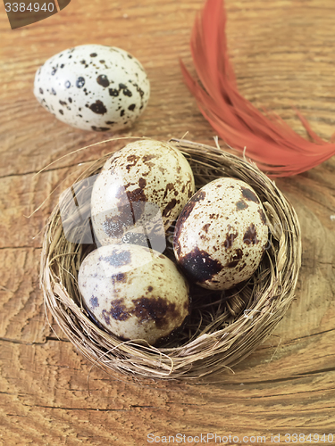 Image of quail eggs