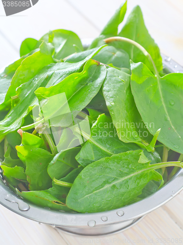 Image of sorrel