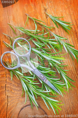 Image of rosemary
