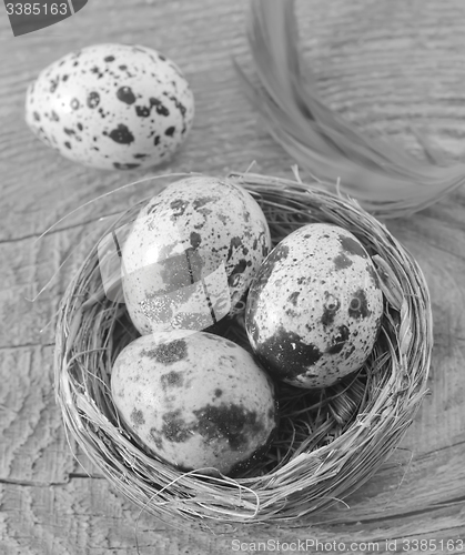 Image of quail eggs
