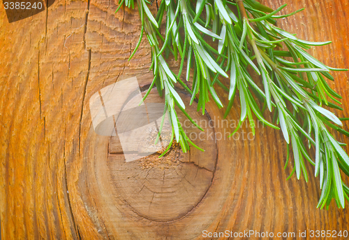 Image of rosemary