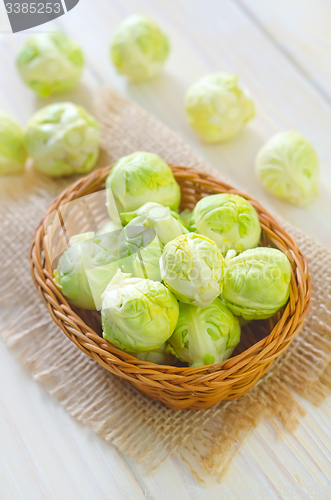 Image of brussel cabbage