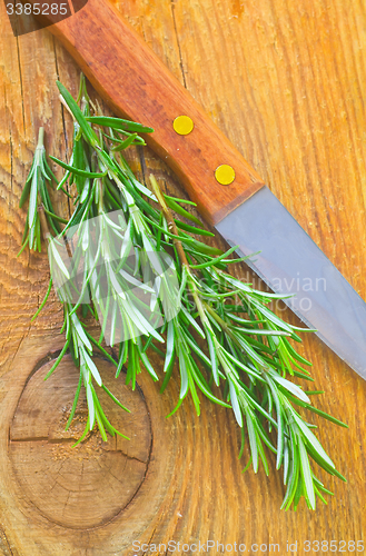 Image of rosemary