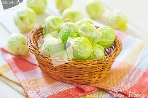 Image of brussel cabbage