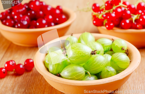 Image of berries