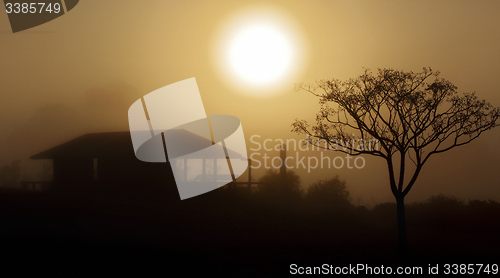 Image of Foggy morning sunrise rural landscape