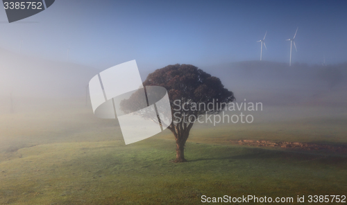 Image of Rolling hills with morning fog lonely tree and windmills