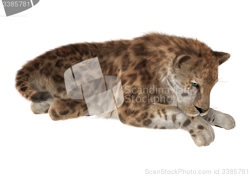 Image of Big Cat Smilodon