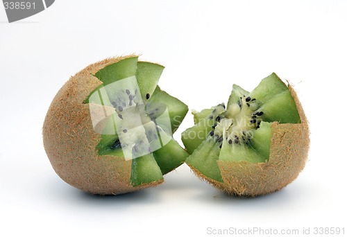 Image of Kiwi