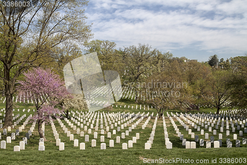 Image of Arlington National Cemetery