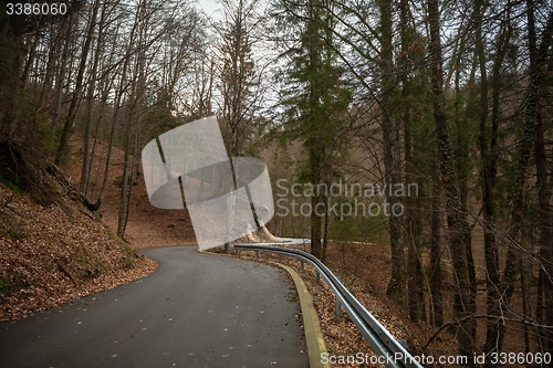 Image of Road in autumn forest landscape