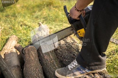 Image of Gasoline powered professional chainsaw