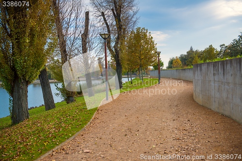 Image of Green lawn and trees at the park