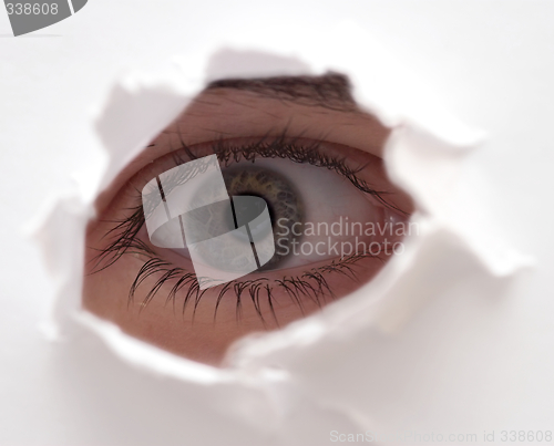 Image of eye