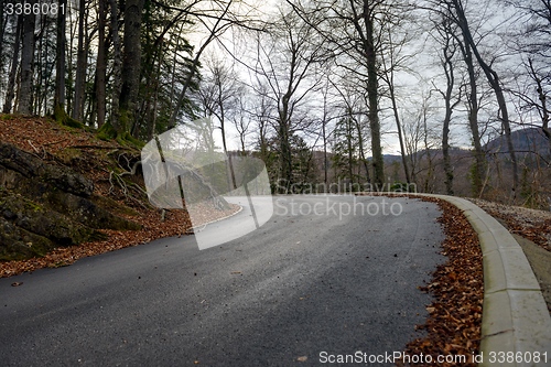 Image of Road in autumn forest landscape