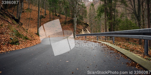 Image of Road in autumn forest landscape