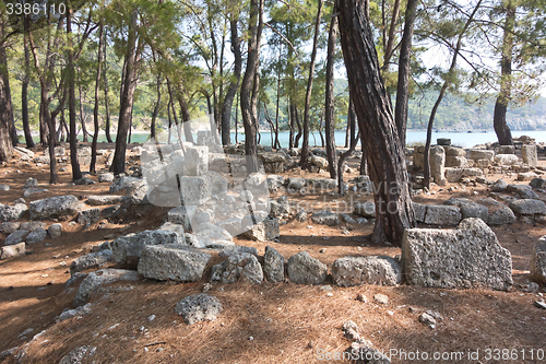 Image of Phaselis