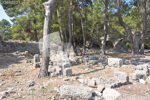 Image of Phaselis