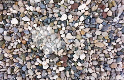Image of sea stones