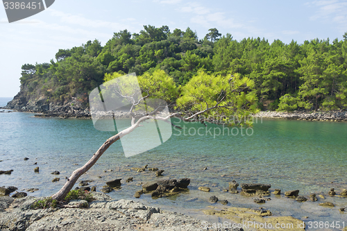 Image of Phaselis, Turkey