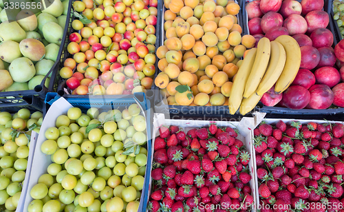 Image of fruit market