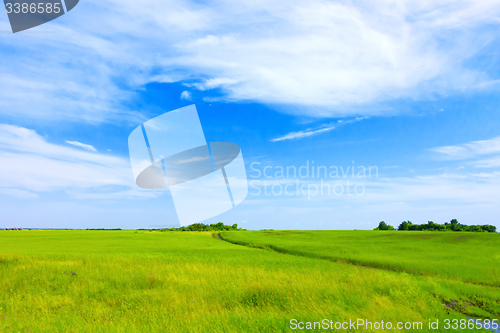 Image of summer landscape