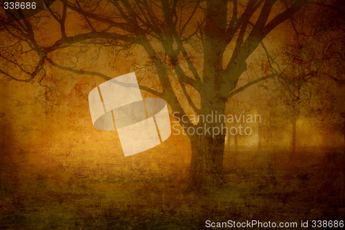 Image of Foggy night