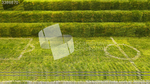 Image of Soccer Grass