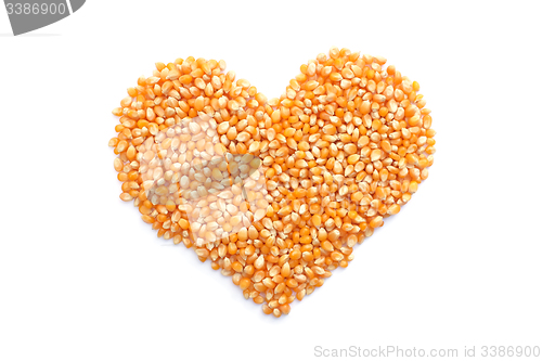 Image of Popcorn maize in a heart shape