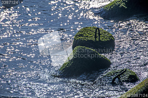 Image of wave-breaker during sunrise