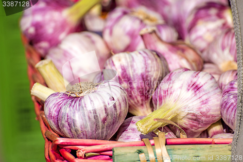 Image of red garlic on a street sale in France