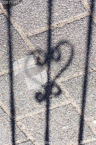 Image of Heart shadow
