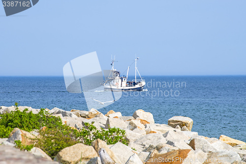 Image of Baltic sea with trawler and seagull