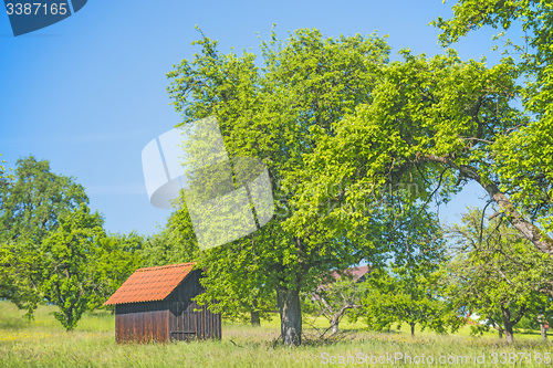 Image of Barn in a meadow