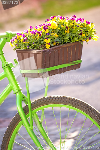 Image of bicycle with flowers