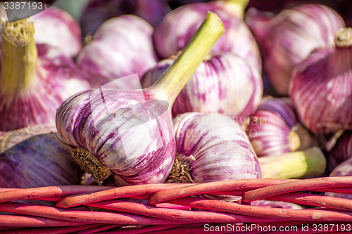 Image of red garlic on a street sale in France