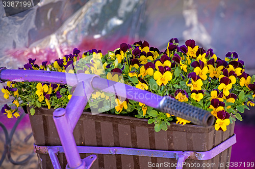 Image of bicycle with flowers