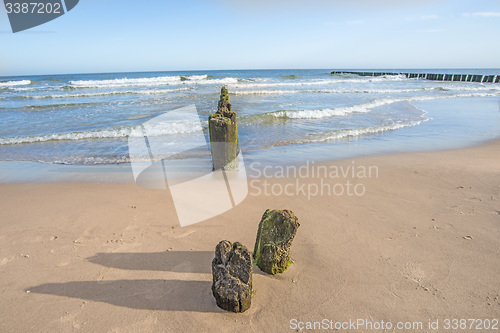 Image of beach of the Baltic Sea with old wooden wavebreakers