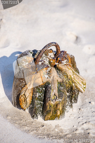 Image of Groin in the Baltic Sea 