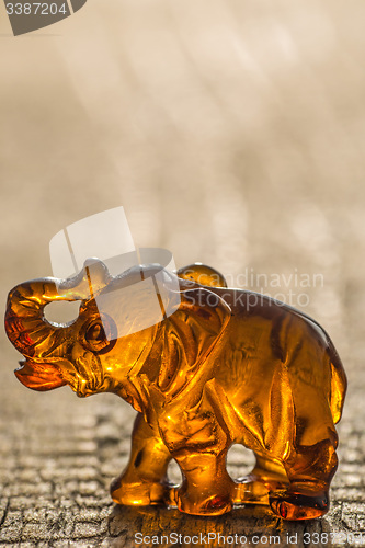 Image of amber, elephant