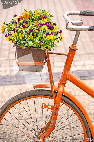 Image of bicycle with flowers