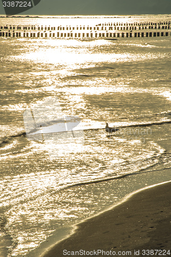 Image of Baltic Sea in Poland, beach of Ustka during sunrise