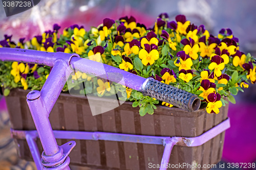 Image of bicycle with flowers