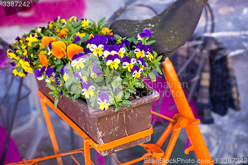 Image of bicycle with flowers