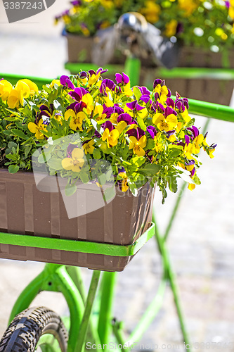 Image of bicycle with flowers