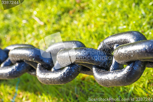 Image of anchor chain in green grass