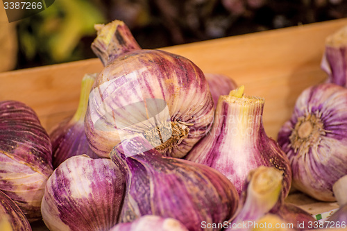 Image of red garlic on a street sale in France