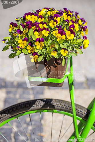 Image of bicycle with flowers