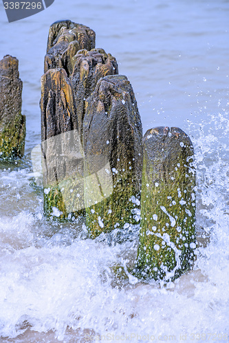 Image of Groins in the Baltic Sea 